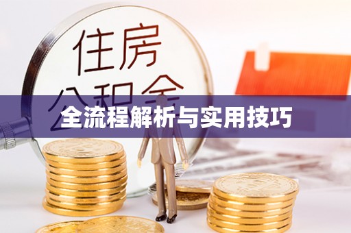 荣昌全流程解析与实用技巧