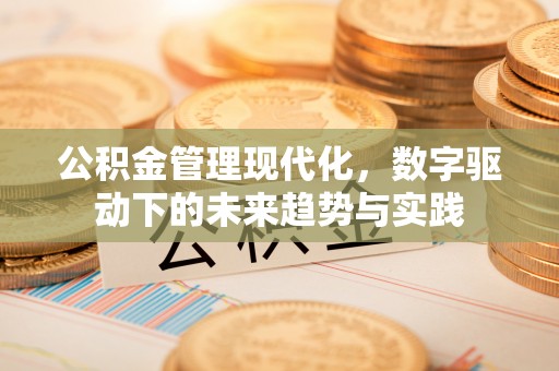 荣昌公积金管理现代化，数字驱动下的未来趋势与实践