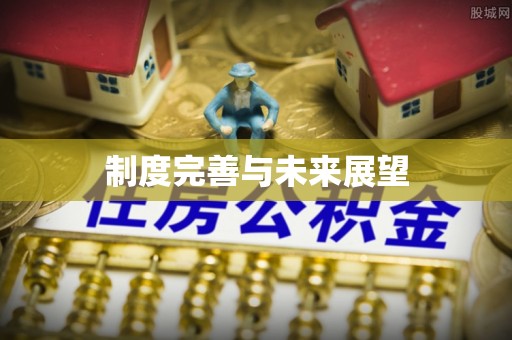 荣昌制度完善与未来展望