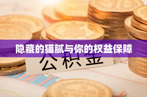 荣昌隐藏的猫腻与你的权益保障