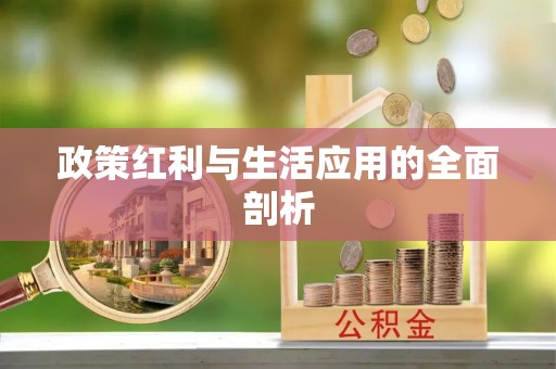 荣昌政策红利与生活应用的全面剖析