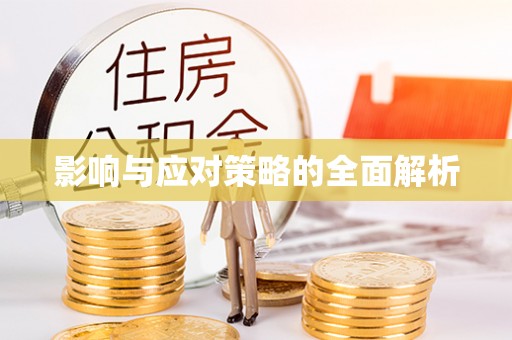 荣昌影响与应对策略的全面解析