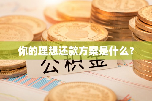 荣昌你的理想还款方案是什么？