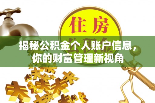 荣昌揭秘公积金个人账户信息，你的财富管理新视角