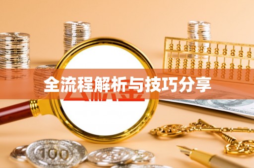 荣昌全流程解析与技巧分享