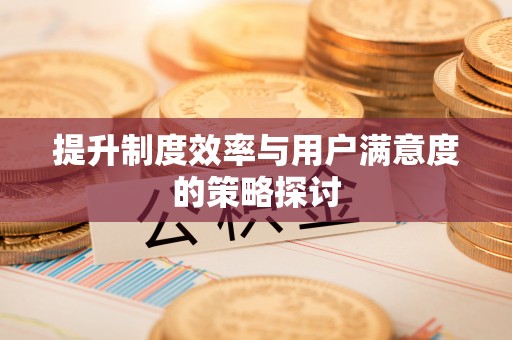 荣昌提升制度效率与用户满意度的策略探讨